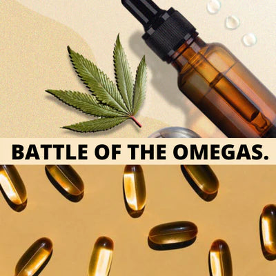 BATTLE OF THE OMEGAS: Hemp Seed Oil vs. Fish Oil