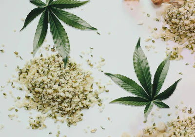 Hemp Oil Vs. Hemp Seed Oil: What’s the difference?