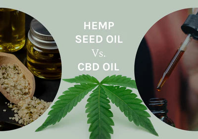 Which Is More Beneficial: Hemp Seed Oil Vs. CBD Oil