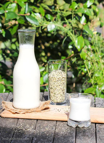 Why is Hemp Milk the better alternative for you?